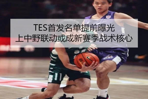 TES首发名单提前曝光 上中野联动或成新赛季战术核心